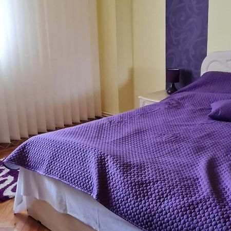Apartament Cu 2 Camere Spatioase In Centrul Orasului - Andrei Brăila Екстериор снимка