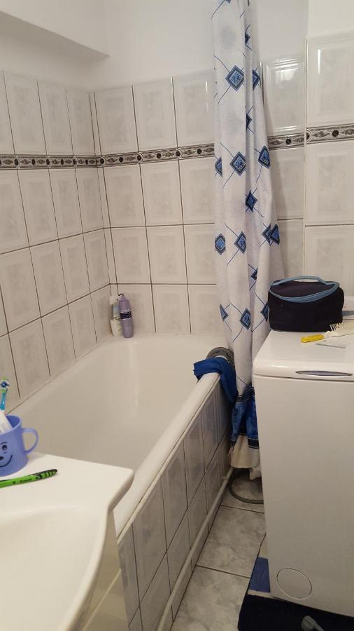 Apartament Cu 2 Camere Spatioase In Centrul Orasului - Andrei Brăila Екстериор снимка